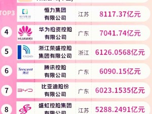 2024年最新中國(guó)十大民營(yíng)企業(yè)營(yíng)收數(shù)據(jù) 京東、阿里、恒力集團(tuán)居前三名